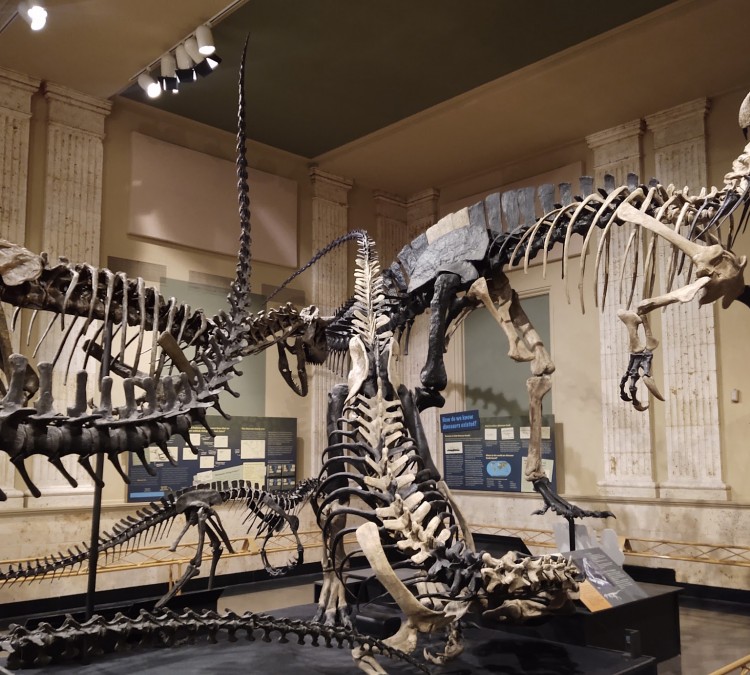 Dinosaur Discovery Museum (Kenosha,&nbspWI)